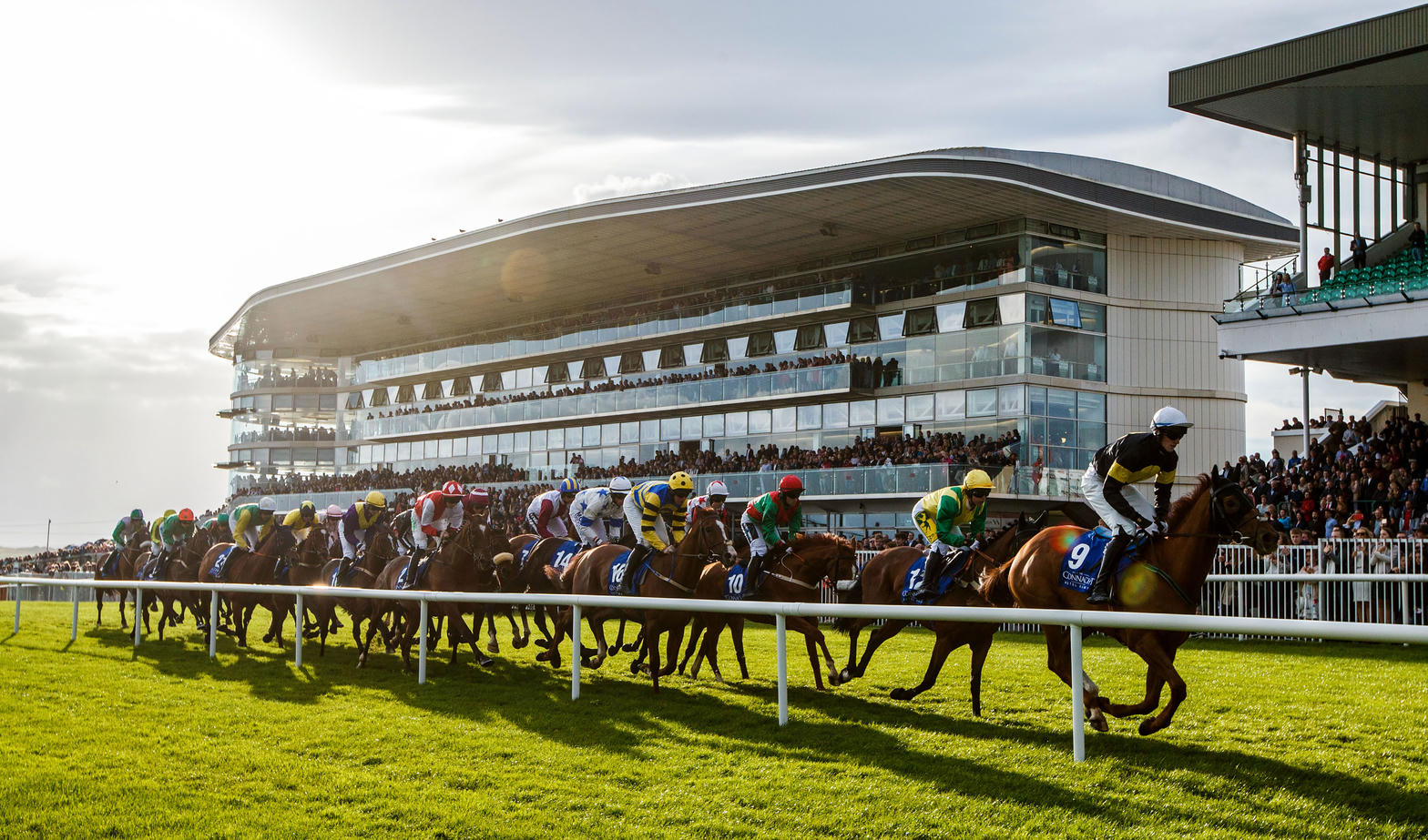 Grandstand race day